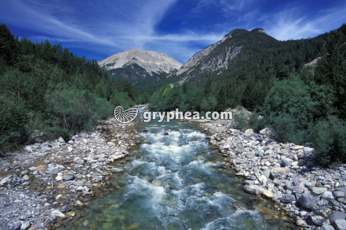 Torrent avec blocs - gryphea.org